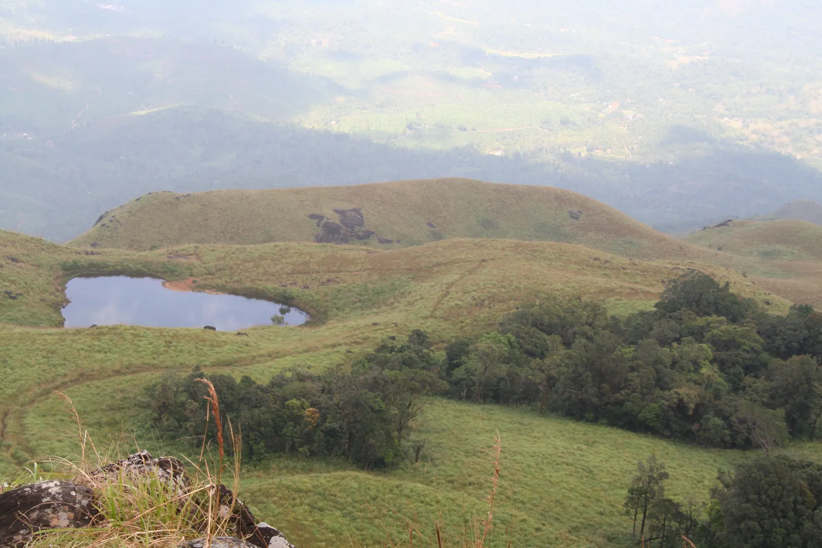 Heart-shaped lake on a grassy slope below Chembra peak in Wayanad