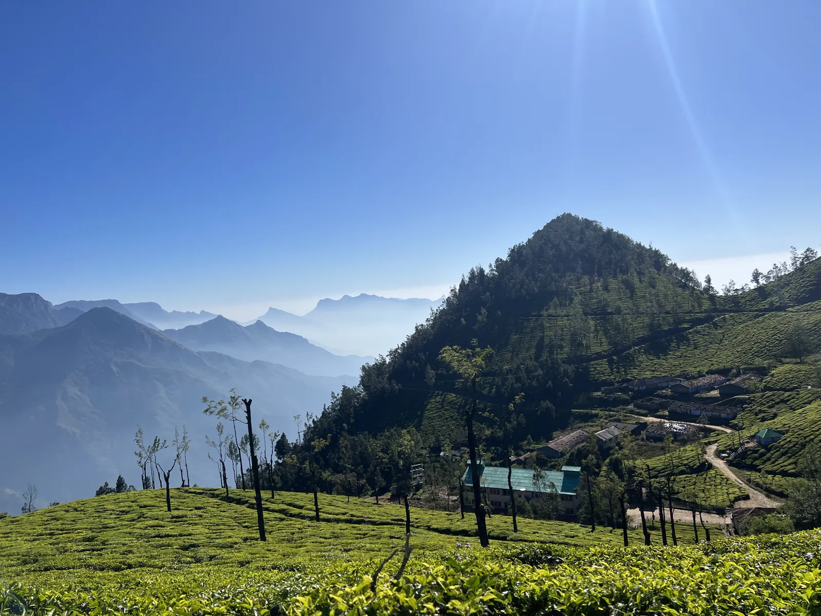 Forested peak rising above tea estates and distant blue ridgelines